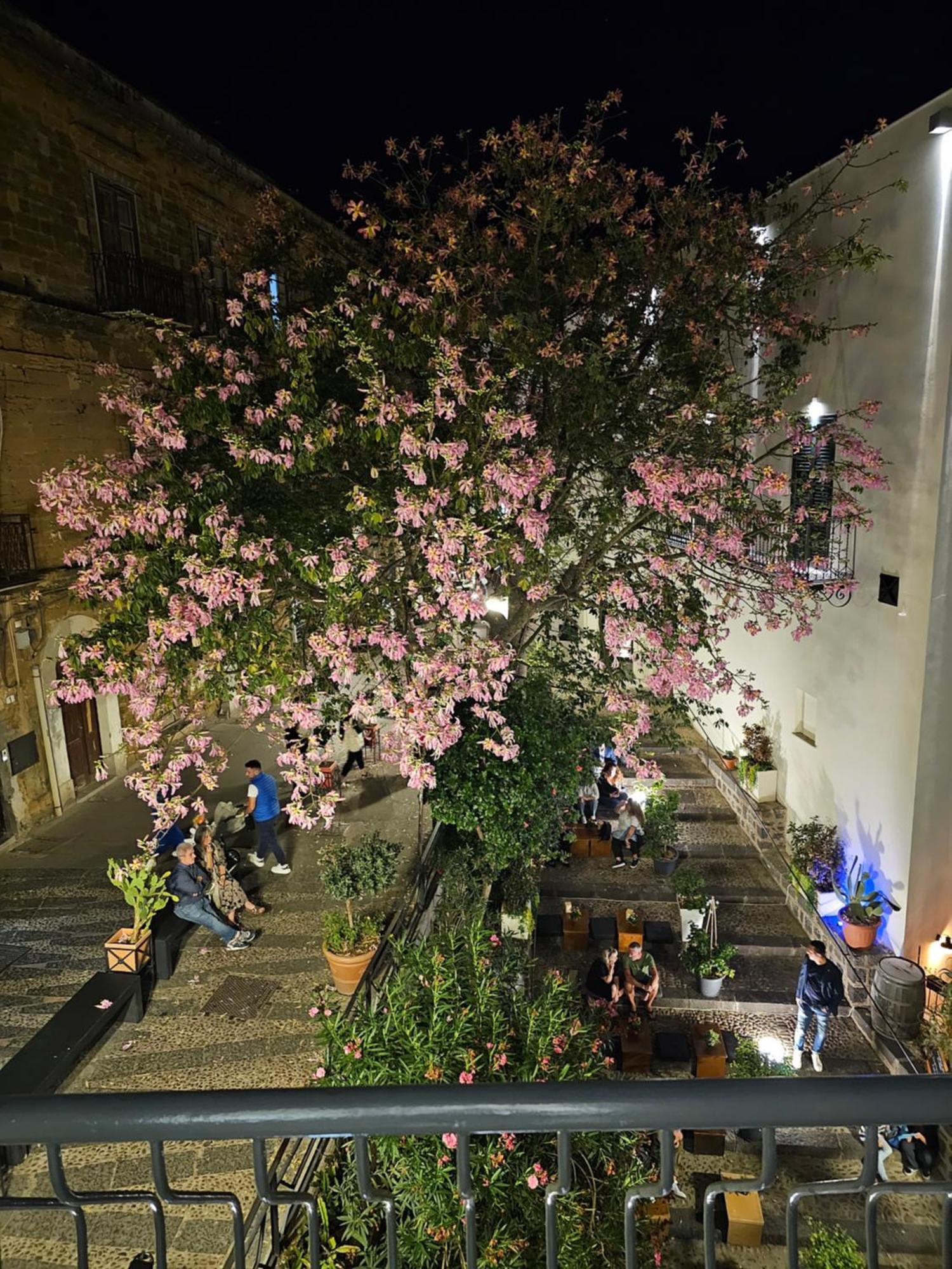 Villa Di Giorgi Apartments Center Cefalú Exterior foto